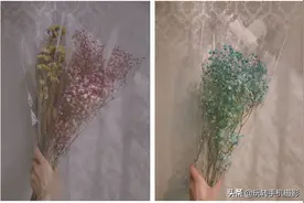 干花「创意拍照」全攻略图片