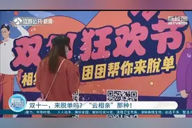 双十一助脱单！南京团市委联合婚恋网站推出“云相亲”平台图片