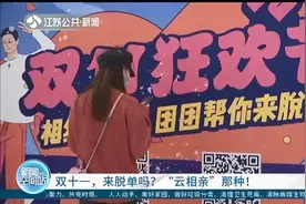 双十一助脱单！南京团市委联合婚恋网站推出“云相亲”平台图片
