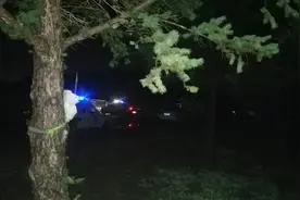 早市儿噪音扰民问题！大庆城管这波操作，太可以了图片