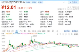 黑名单11，半导体：华天科技图片