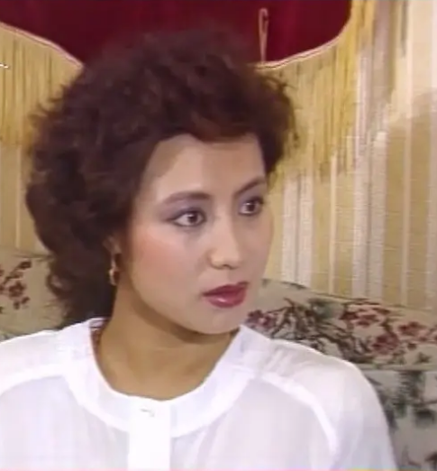 八九十年代广东电视台制作的二十部经典电视剧，你还记得多少部？