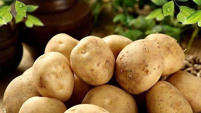 土豆——世界上最成功的植物之一，没有它可能就没有人类文明