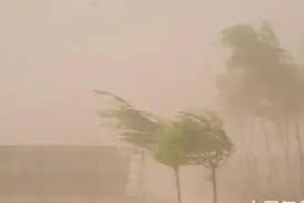 今年为什么多风？多风是弊大于利，还是利大于弊图片