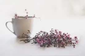 干净，是一个人最好的样子图片