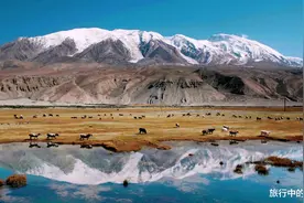 1983年，考察队在昆仑山发掘到了什么？为何自此有了禁区图片