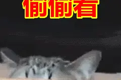芗城区这些小学正在扩建、新建图片