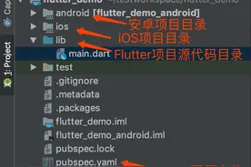 Flutter开发环境搭建和项目结构介绍图片