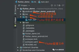 Flutter开发环境搭建和项目结构介绍图片