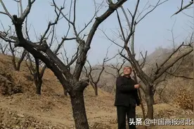 山区城计头乡农民不恋年味忙生产图片