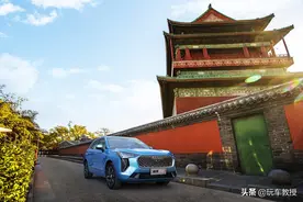 大二的初恋很难找！我花了11万才拿下图片