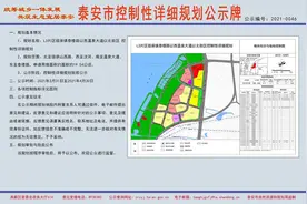 泰安徂徕的这个规划，谁知道这是给哪几个村盖的回迁楼图片