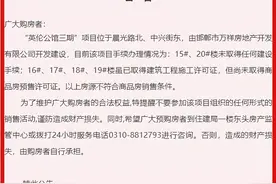河北5市多个项目被通报！一地公告：禁止购买这处商品房图片