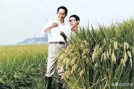 农业科技工作者追忆袁隆平：他用一粒种子改变世界图片