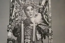 老沈聊戏：赵燕侠的“赵派”为何叫不起来？图片