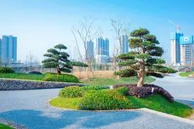 就在明天！丽水“两湖”公园正式开园图片