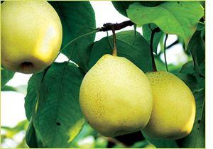 清华学霸理综292分，他说学好理综只需要记这些口诀！