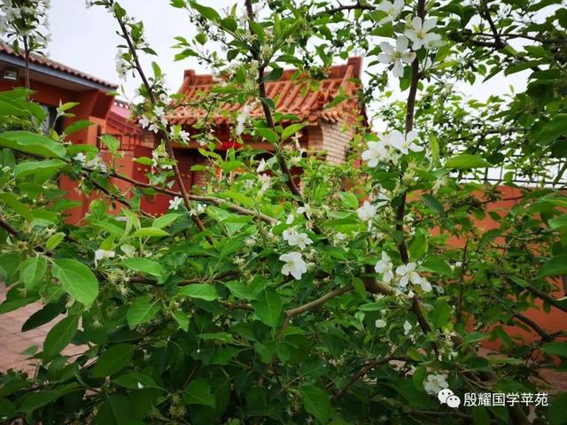 【固阳县】【【殷耀国学】乡土成语妙趣多】