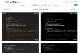 我常在使用的几个 VIM 插件图片