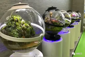 忙碌生活中的一方绿意——Bioloark生物方舟图片