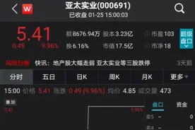 跌停拉涨停，只用15分钟！酒精也疯狂，因搭边“酒”而涨停？图片