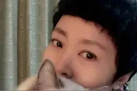 艺术红点号推荐女性艺术家 l 范开玉（喵星人）图片