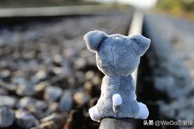 为什么明明彼此相爱却不能在一起？图片