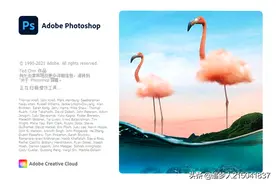 图说Photoshop 2021版本上安装插件显示未经正确签署的解决方法图片