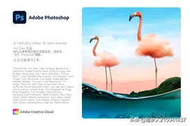 图说Photoshop 2021版本上安装插件显示未经正确签署的解决方法图片