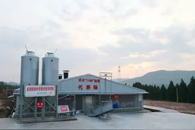 生猪代养一年八十万，还打什么工，回老家养猪算了图片