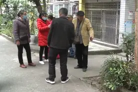 人要脸树要皮，小区大树被剥皮，到底谁干的？图片