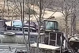 威海：两岁女孩被碾压致死 原因查明让人痛心图片