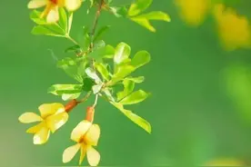 一个人悄悄变好的5个征兆图片