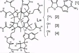 维生素B12与甲钴胺是同一种药吗？这篇文章说清楚了图片