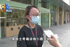 三条狗都是三天出问题“宠倍爱”说狗是买家掐死的？图片