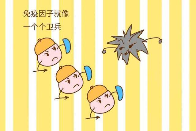 蛋白质大学问，天天都在谈的蛋白质，今天就来认识下