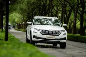 柯迪亚克GT、RAV 4荣放售价相近，选择困难怎么破？图片