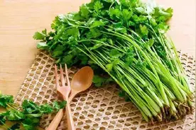 爱吃香菜的朋友请注意：香菜虽香，但四类人要少吃图片