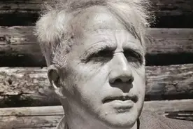 两条路分叉于树林里，而我选择了一条更少人走的路图片