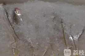 春季水产上市：长江全线禁捕后，时鲜刀鱼从哪里来？图片