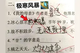 小学生迷上王者荣耀，试卷答案也带上“灵感”，让老师很头痛图片
