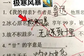 小学生迷上王者荣耀，试卷答案也带上“灵感”，让老师很头痛图片