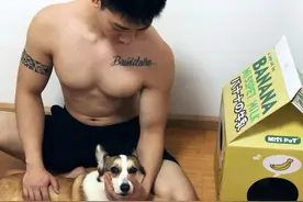 深度调研｜在中国，有230万名Gay在独居生活图片