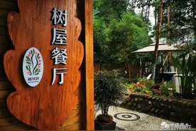 搞事情！发福利！麟凤村 · 树屋餐厅开业啦！图片