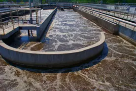 中国人每天产生约240万吨屎尿，都排放到哪里去了，该如何处理？图片