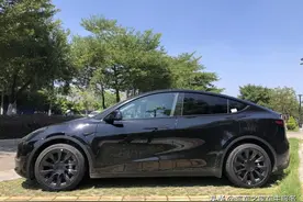 享受Model Y带给我的科技出行图片