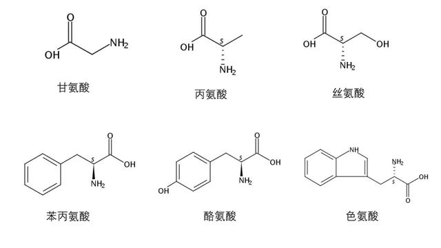 蚕丝:四千多岁的“新”材料
