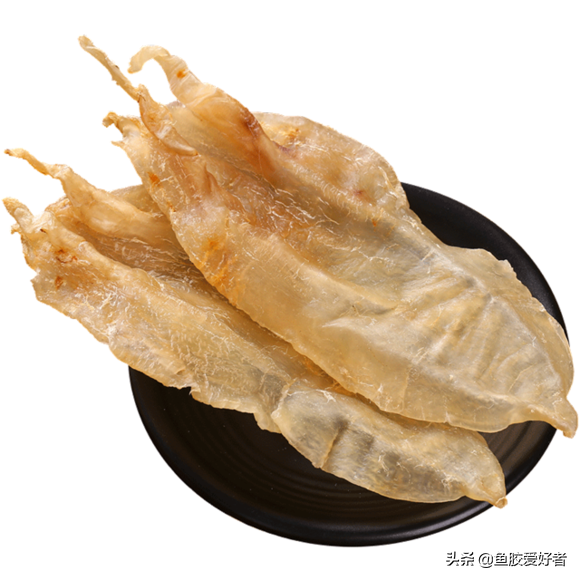 一斤鱼胶有多少片 2026年一斤鱼胶有多少片海参