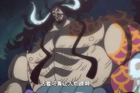 海贼王：挺有意思的，百兽海贼团设计灵感，三灾代表“JQK”图片