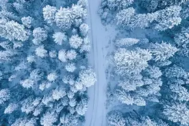 北京下雪了！冬天煲剧一定不能错过这几部，我超级爱图片